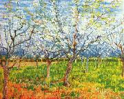 Orchard in Blossom Vincent Van Gogh